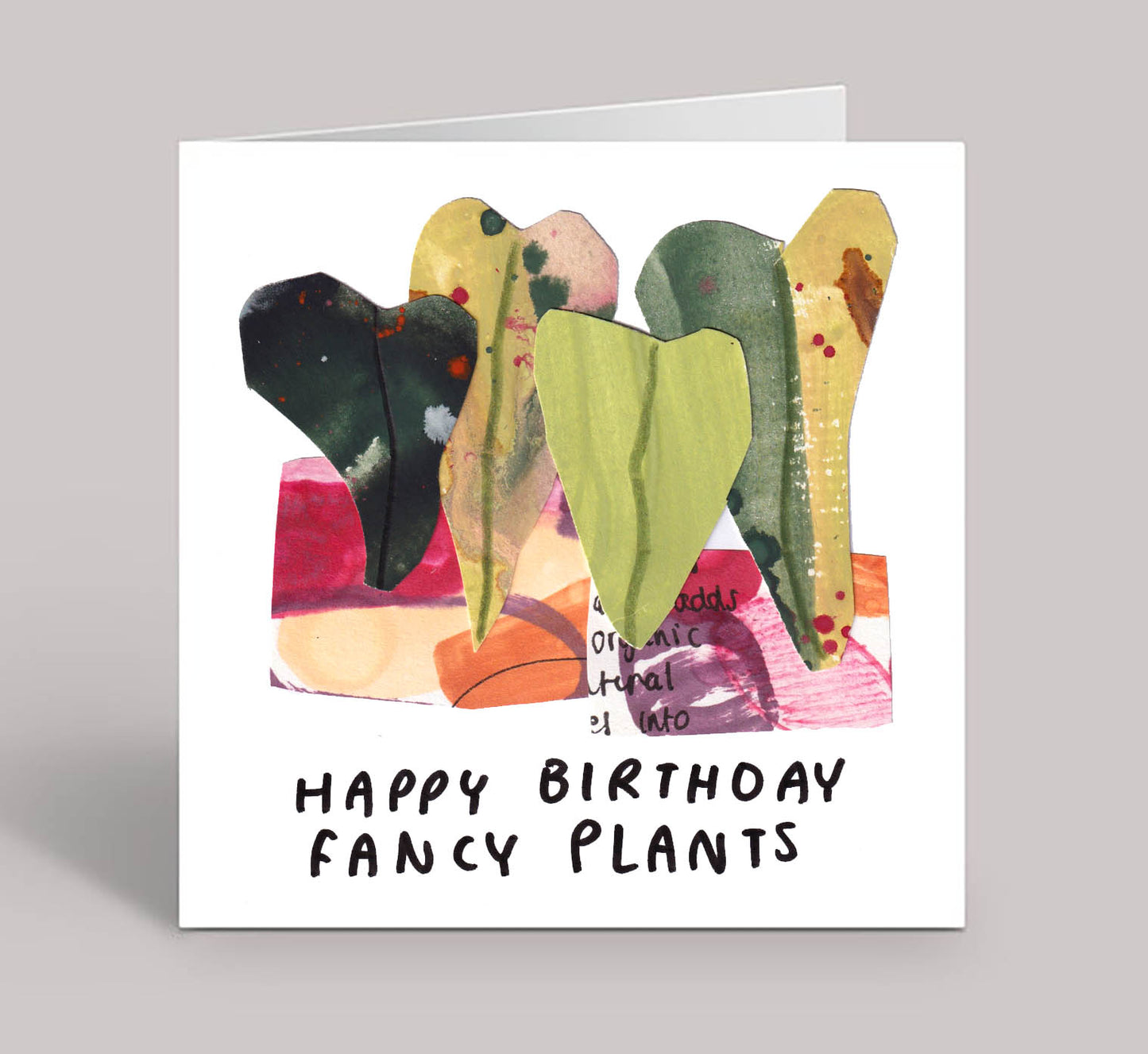Happy Birthday Fancy Plants