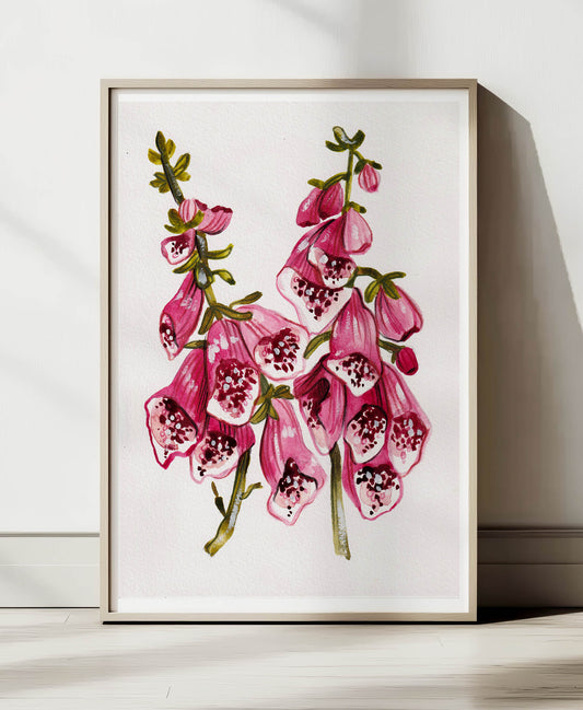 Foxglove A4