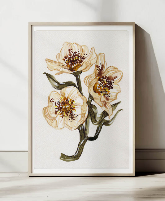 Autumn Hellebore A4