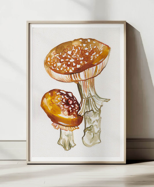 Forest Mushrooms A4