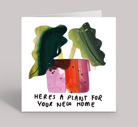 Here's A Plant For Your New Home