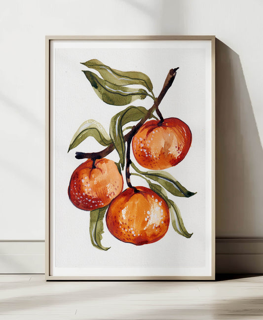 Sicilian Oranges