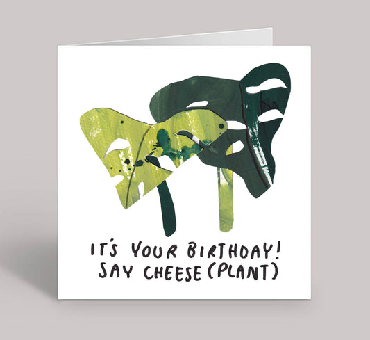 It's Your Birthday! Say Cheese (Plant)