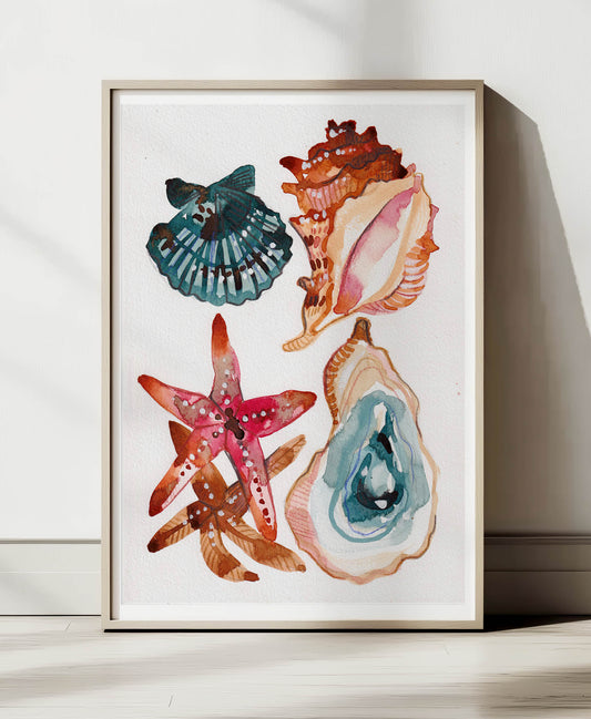 Coastal Shells A4